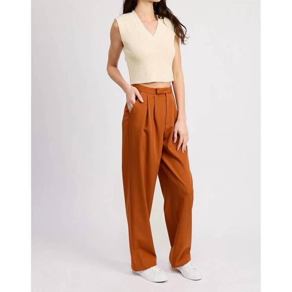 NEW ASTR atlas trouser in terracotta - Picture 2 of 4